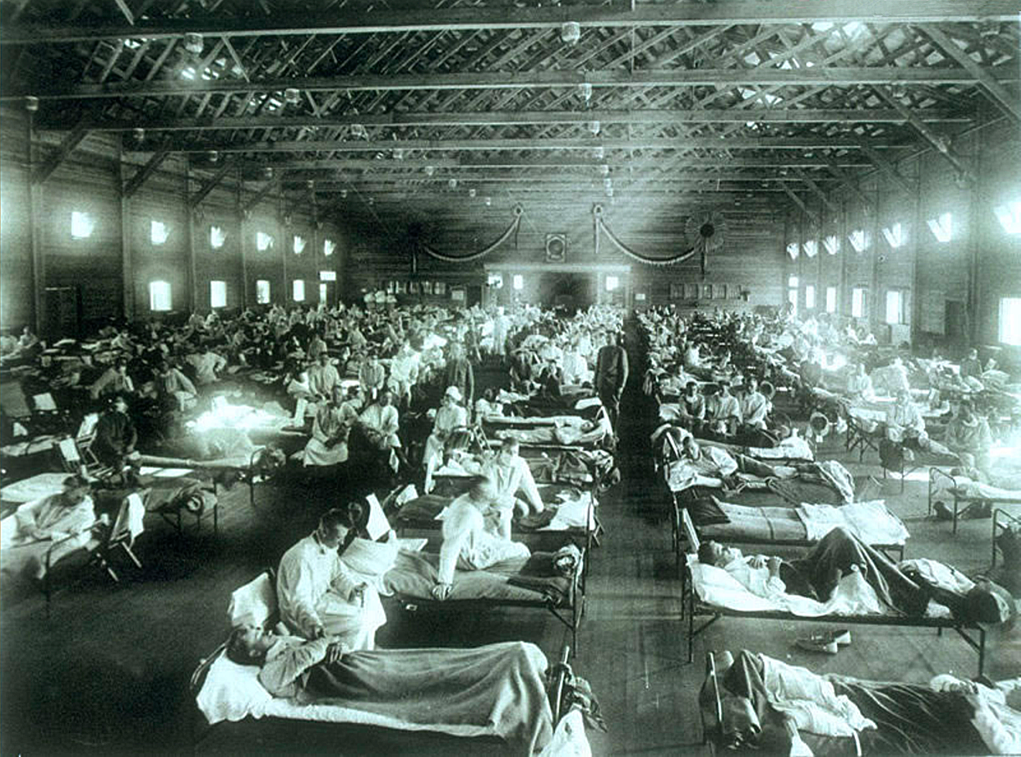 The Swine Flu of 1918